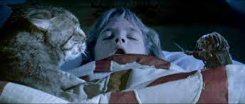 Cats were once considered evil, even now there are superstitions about black cats bringing bad luck. Cats In Film The Cat S Eye 1985 Stephen King