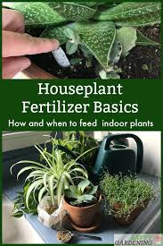 Houseplant Fertilizer Basics How And When To Feed Houseplants Small Indoor Plants Plants Fertilizer For Plants