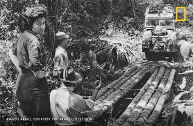 Check spelling or type a new query. National Geographic On Twitter Harriet Chalmers Adams The First Female Journalist Allowed To Visit The French Trenches During Wwi Had Never Been To College But Her Work Garnered Her Invitations To Speak