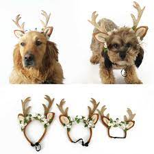 Christmas Pet Dog Reindeer Antlers Flowers Headband Hat Cap Headdress Magic Ebay Dog Reindeer Antlers Reindeer Antlers Reindeer Dog