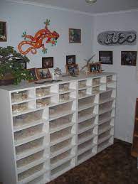 Post Your Racks Pictures Reptile Room Reptile Rack Diy Reptile