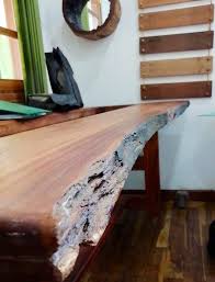 Image result for Amblygonocarpus