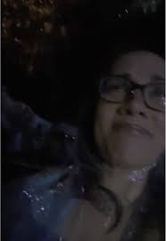 T Rex Jurassic World Ride Stuck