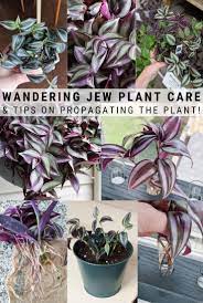 Pin On By Brittany Goldwyn Projects
