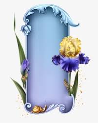 This is useful for stubborn sicknesses thank you for encouragement, i have being passing through sick and affiliation from the marin i need help and. Divine Inspirations Prayers Sunday Blessings Clipart Long Stem Botanical Flower Clipart Free Transparent Clipart Clipartkey