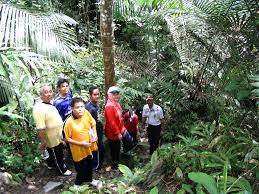 Image result for PENGKALAN HULU