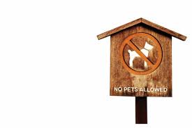 Verschmutzte städte, verärgerte bürger selbstgemacht: Hier Ist Kein Hundeklo Schild Zum Ausdrucken Kostenlos