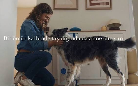 Köpek Annesi Reklamı Tartışması: Nereye Varacağız Bu İşin Sonunda?