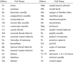 Maybe you would like to learn more about one of these? List Of Abbreviations For Sensilla And Body Parts Download Table