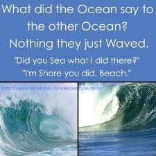 What Did The Ocean Say To The Other Ocean Nothing They Just Waved Did You Sea What I Just Did There I M Shore You Did Beac Ocean Commotion Ocean