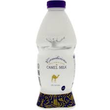 Aadvik camel milk powder information. Buy Camelicious Camel Milk 1litre Online Lulu Hypermarket Uae