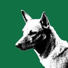 520 x 338 jpeg 62 кб. Pariah Dog Pariahdogmovie Twitter