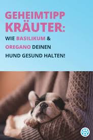 Geheimtipp Krauter Wie Basilikum Und Oregano Deinen Hund Gesund Halten In 2020 Hunde Immunsystem Hundegesundheit