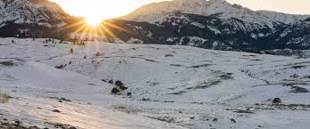 You can't go to yellowstone without visiting lamar valley, also known as america's serengeti.in this stretch at the north end of the park, you'll. 9 Reasons To Visit Yellowstone In Winter