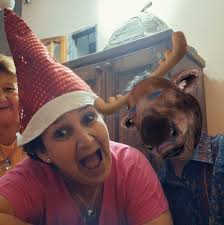 SALVEMOS A KITTY PORFAVOR 🥺😭😭 Kitty es una gatita de un albergue de 37  gatitos rescatados, ella no fue adoptada ya que desde jovencita tenía  gingivitis/problemas dentales, su boquita olía mal y