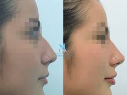 Dr. Maximo Alejandro Evia Arceo