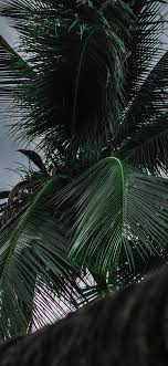 Mar 09, 2021 · memilih gambar. Terpopuler 30 Full Hd Gambar Wallpaper Keren Wallpaper Keren Full Hd Black Pan Volvean Mvagustacheshire Com 4k Best Of Wallpapers For Andriod And Ios