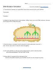 Dna mutation simulation worksheet answer key. Dna Mutation Simulation Worksheet 1 Pdf Name Dna Mutation Simulation Access The Simulation At U200b Biol Co Dna Sim1 U200b 1 Transcribe And Translate Course Hero