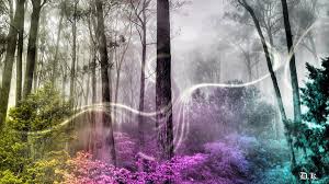 Enchanted Forest Wallpapers Hd Pixelstalk Net Wallpapers > fantasy > enchanted forest. enchanted forest wallpapers hd