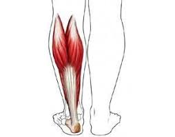What Causes Severe Leg Cramps While Sleeping Home Health Remedies Leg Cramps Health Remedies