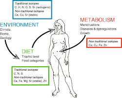 Image result for pioneer plaque