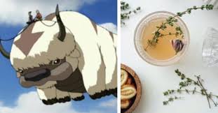 The styles featured in the. Find Out If You Re Like Appa Or Momo From Avatar The Last Airbender