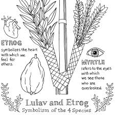 Today Is The First Day Of Sukkot One Of My Favorite Jewish Holidays Wrote A Brief Description On My Blog Along With A F Happy Sukkot Sukkot Lulav And Etrog