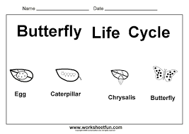 Butterfly Life Cycle Bmp Image Kindergarten Worksheets Free Printables Free Preschool Worksheets Kindergarten Worksheets
