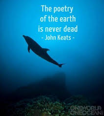 Poetry Scuba Diving Quotes Ocean Poetry