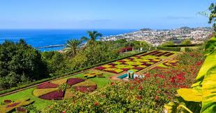 Le suivi des vols sera bientôt disponible en version 3d. Vols Pas Chers Vers Funchal A Partir De 69 Jetcost