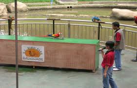 Harga tiket taman burung kuala lumpur terkini termasuk gst adalah seperti berikut. Taman Burung Kuala Lumpur Harga Tiket Info Penting