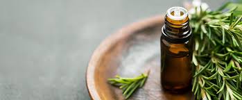 Image result for Essential Oils