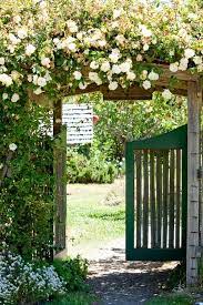 Green Saloon Doors Love Saloon Doors Pinterest Garden Gates Doors Repurposed Planter Box Designs