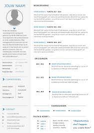Cv Template Voorbeelden Per Branche In Word Format