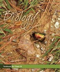 Class 11 Biology Ncert Solutions Pdf Free Download Biology Class 11 Biology Textbook Biology Class