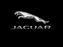 You are about to leave jaguar.com. Jaguar Logo Photograph By Ericamaxine Price
