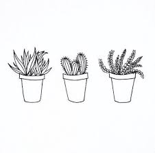 Black And White Plants Drawing Resources Plant Doodle Plant Drawing Tumblr Drawings