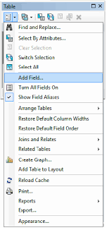 What can you see in this picture? Step By Step Instructions To Capitalize The First Letter In A Field Using Python In Arcgis