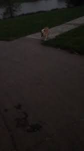 J_Wicky07 (@jaredwickwire)’s videos with Run