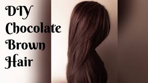 Fair skin should aim for a lighter, warmer shade. maintenance level: Dye Hair Chocolate Brown At Home Supper Affordable Youtube