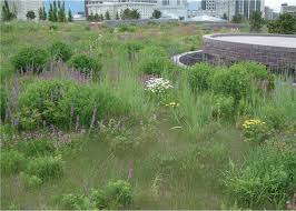 Maybe you would like to learn more about one of these? 3 Meadow Consisting Of Native Plants On The Church Of Latter Day Saints Download Scientific Diagram