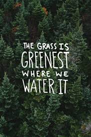 The Grass Is Always Greener On The Other Side Of The Fence Examples Love How Positive This Inspirational Quote Is Words Water Quotes Cool Words