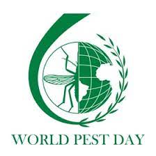 Apple pest control responded to my request immediately and came to my house within two hours of initial contact. World Wide Pesterer Suppress Provides Disintegration Services To Residential And Advertisement Properties Inwards San Antonio Austin Texas World Pest Control San Antonio Texas