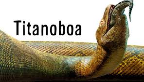 Sebagian besar populasi mereka hidup di daerah dengan temperatur suhu yang lebih hangat. 5 Fakta Ngeri Titanoboa Ular Purba Raksasa Yang Ukurannya Bikin Merinding Boombastis