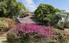Martinique Habitation Clement La Maison De Maitre Maison De Maitre Martinique Rhum