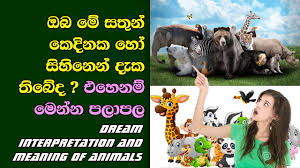 Second part of the webinar was. Dream Interpretation And Meaning Of Animals Youtube