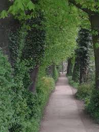 Senftenberg Schlosspark Senftenberg Schlosspark Schloss