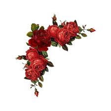 60882233 1277701395 19 Png Liked On Polyvore Featuring Flowers Frames Backgrounds Corners Effects Filler Borders A Floral Image Red Roses Vintage Roses