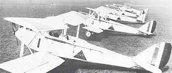 في سنة 1932 تم تشكيل السرب الاول من الطيران الجوي العراقي الحربي في معسكر الرشيد والمتكون من طائرات جبسي موث وط fighter jets fighter sydney opera house