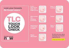 Breast cancer screening for the early detection of breast cancer. October Is Breast Cancer Awareness Month Health Promotion Department